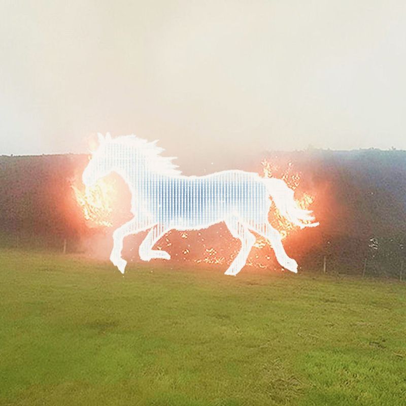 Kejser / Astrid Schick