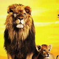 The music of Lion King