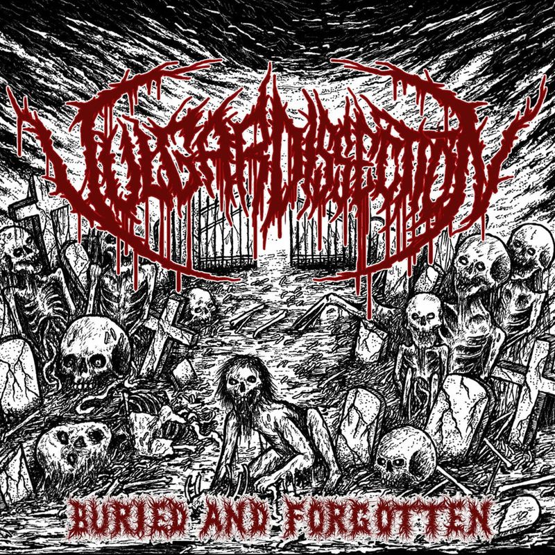 Vulgar Dissection