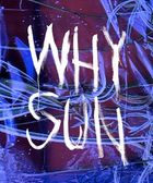 Why Sun
