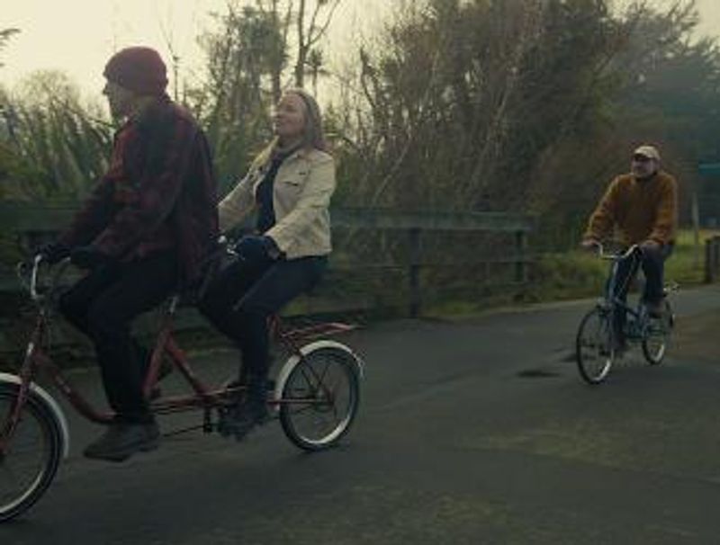 Angry Cat Præsenterer: THE BATS + Bubbling Well + Birds in Flight