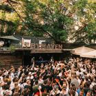 Luanna Elise + Polly