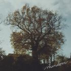 FolkBaltica – Stundom