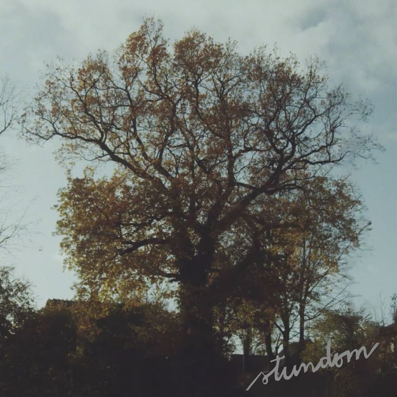 FolkBaltica – Stundom